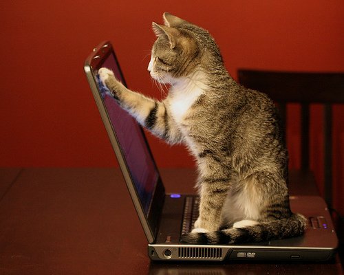 How to Clean Laptop LCD Screens