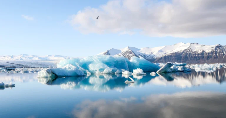 Amazon S3 Glacier archival storage: icebergs reflected in calm blue water