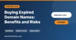 Buying Expired Domain Names: Benefits, Risks and How to Do It (2026)