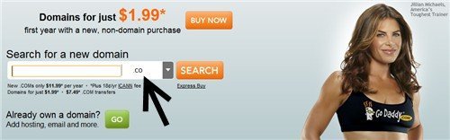 godaddy .co domain names