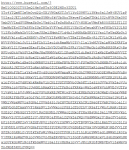 How to Make a Short URL Longer (and Expand Short Links Safely)