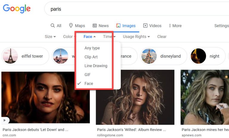 paris face search