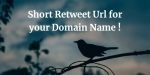 short retweet urls