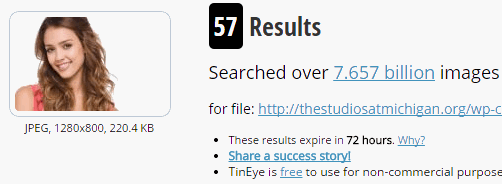 tineye  image search