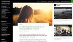 twenty fourteen theme