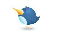 twitter-bird