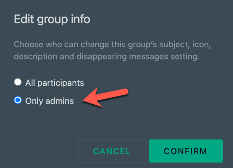 whatspp disappearing message admins