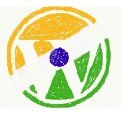 Wordpress India logo